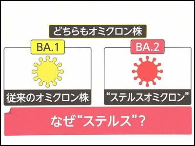 ステルスオミクロン株の特徴や症状は？毒性が弱く重症化リスク低い？