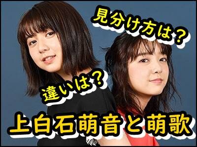 上白石萌歌と萌音が似てる!どっちが姉か、見分け方や違いをまとめ!